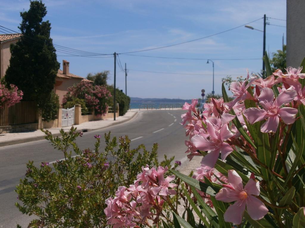 Hotel Le Calypso Hyères Kültér fotó